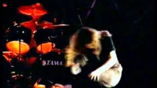 In Flames   Food For The Gods