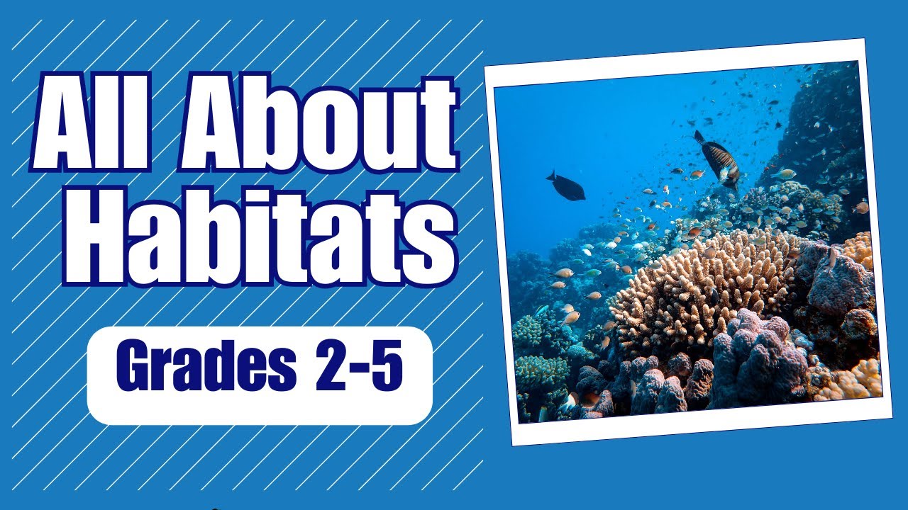 Why do we need animal habitats?