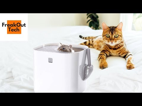 5 Amazing Inventions For Your Cat Video