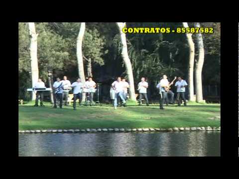 FERNANDO FAYSAN  Y LA NUEVA SANGRE - ESTOY A PUNTO DE DEJARTE