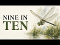 The Dragonfly — The Oldest Interceptor