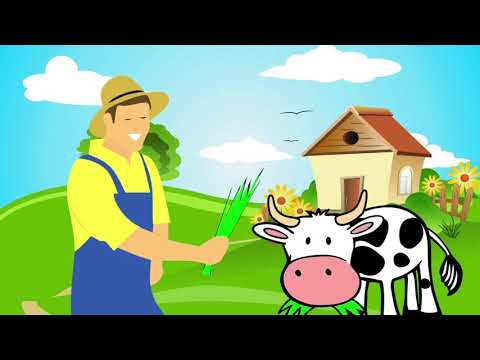 3ammi Bou Mas3oud عمي بو مسعود