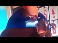 Disney Pixar Alpha And Omeg DVD Menu Walkthrough 2010