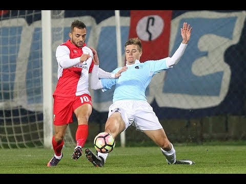 Damir Kojasevic Highlights 2018-19