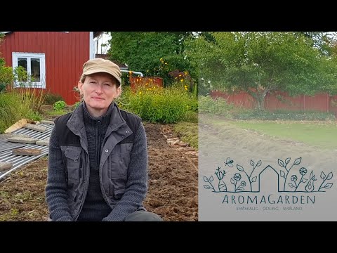Täckodling grönsaker i odlingsbäddar i trädgården Aromagarden