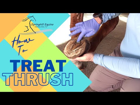 How to Treat Thrush with Copper Sulfate
