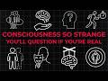 4 Hours Of Consciousness So Strange You Ll Question If You Re Real