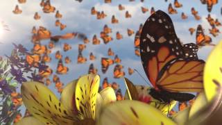Butterflies - Ziggy Marley Animated Video | ZIGGY MARLEY (2016)