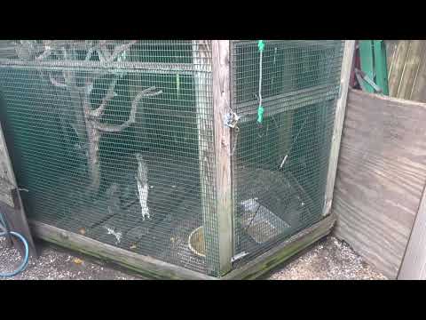 Wildlife Inc  Dec 1, 2018