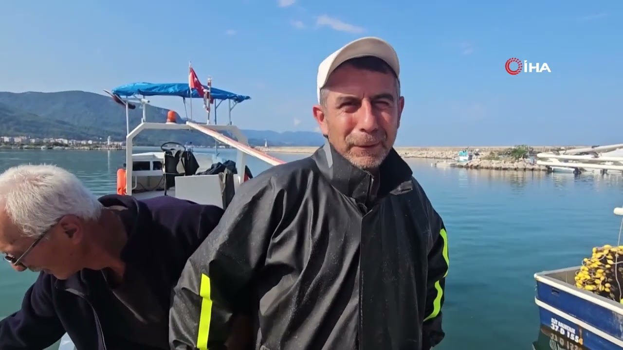 Palamut bolluğu: Tanesi 75 TL'ye satılıyor