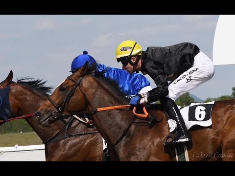 Markoni LP - Cena zahájení dostihové sezony - dostihy Most 18. 5. 2020 - 1400m Czech Republic