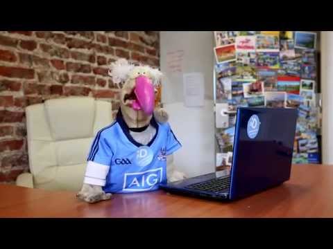 Dublin to Me...Dustin the Turkey