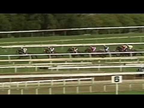 2009 Futurity Stakes- Niconero