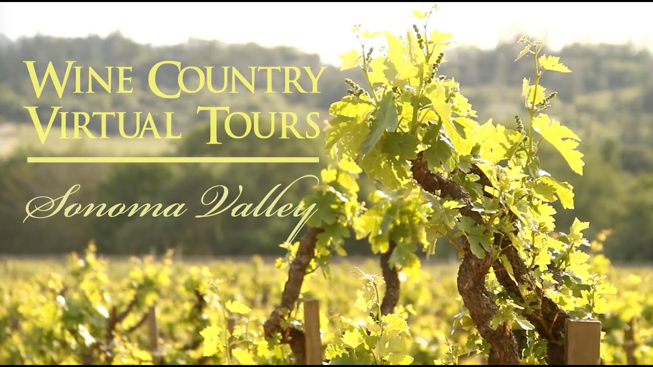 sonoma valley wine tasting video
