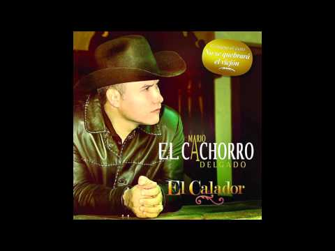 37 semanas - Mario el cachorro delgado