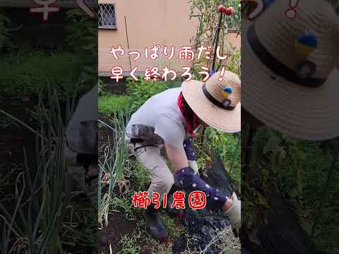 秋に家庭菜園の草取りをする理由と方法は？雑草に別れを告げるために知っておくべきことすべて  庭園