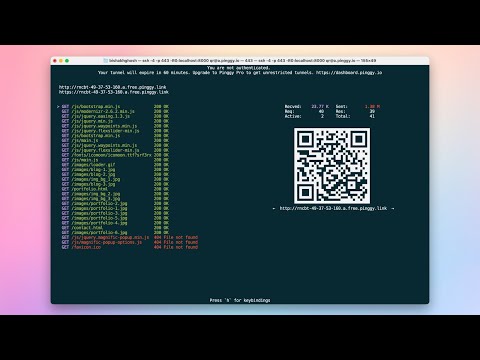  PINGGY video preview