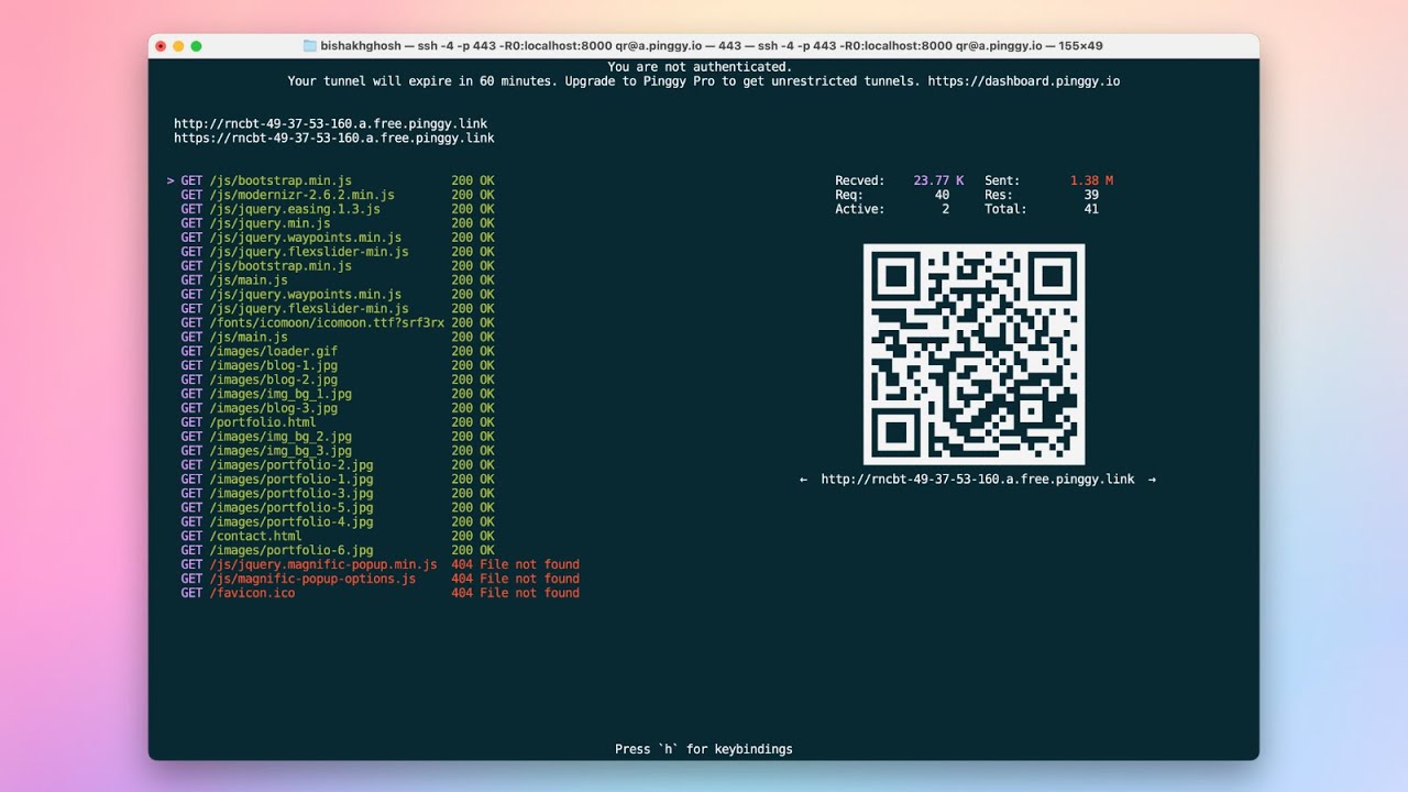 Pinggy demo video