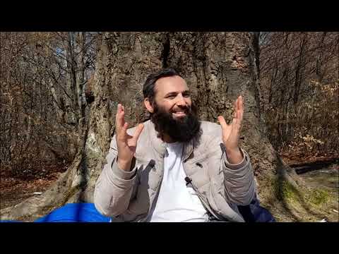 Disa gjëra rreth Ramazanit(Shejh Albani)- Ergin SHALA