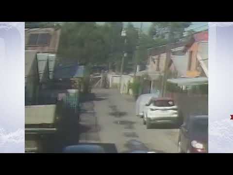 Mujer queda hospitalizada tras ataque de jauría en San Pedro de la Paz y denuncian más casos