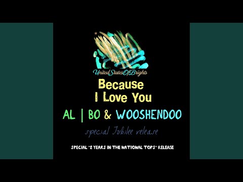 Because I Love You (Wooshendoo Instrumental Remix)