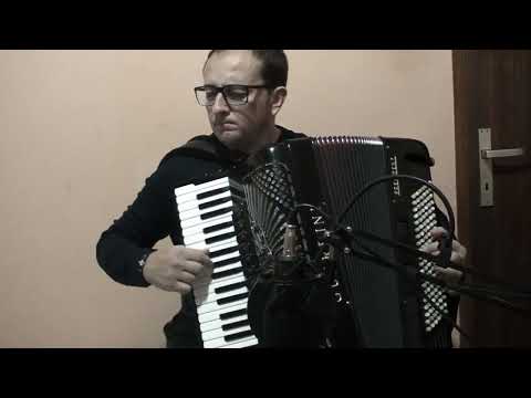 Ivan Stamenić - Niški sa-sa (Ljubiša Pavković)