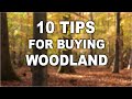 10 Tips for Buying a Woodland | Off Grid | Bushcraft | Camping