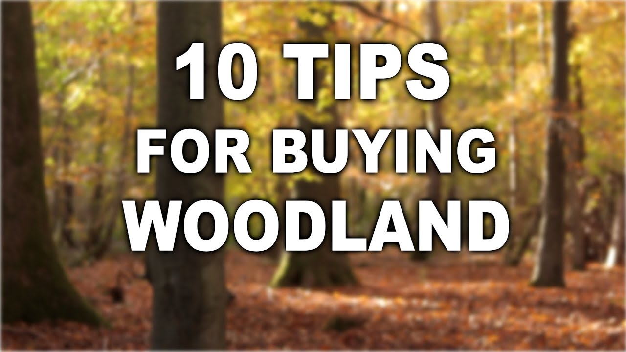 Buying a Woodland - 10 Tips