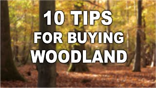 Download lagu 10 Tips for Buying a Woodland | Off Grid | Bushcraft | Camping mp3