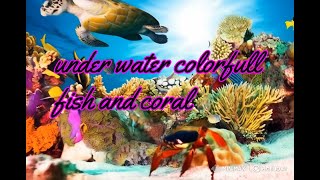 Amazing under water colorfull fish and coral p6