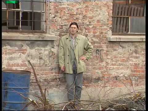 Pojmovnik politike - Staljinizam