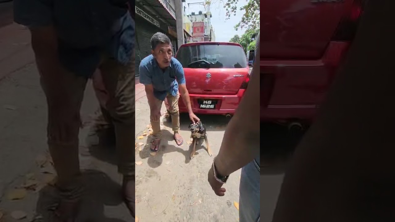Sinto video