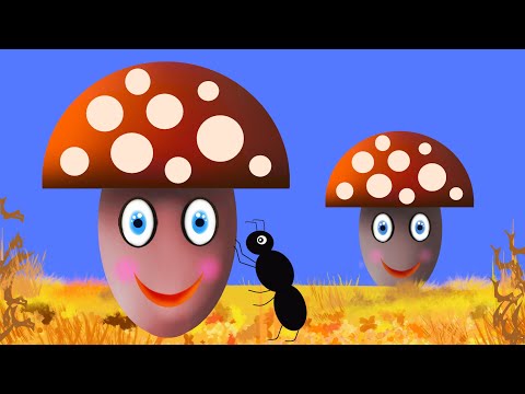 Gomba, gomba, gomba - Napsugár együttes - gyerekdal