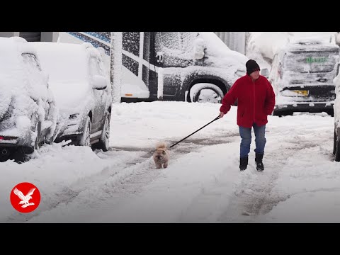 UK weather: Snow blankets northern England as amber warning issued
