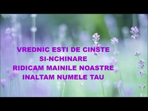 Vrednic Ești de cinste - Negativ creștin