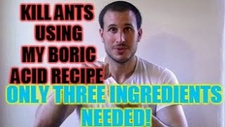 How to Kill Ants Using My Homemade Boric Acid Recipe - Only Three Ingredients Needed!!