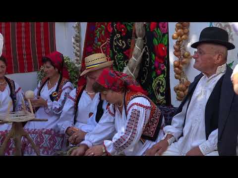 FLORIN JOLDEA  - BIHOR  INSTRUMENTAL2017