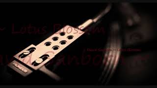 David Sanborn ~ Lotus Blossom (Live)