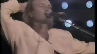 Download lagu Sting - Englishman in New York | Buenos Aires, Argentine - December 11th, 1987 | Subs SPA-ENG mp3 Download lagu Sting - Englishman in New York | Buenos Aires, Argentine - December 11th, 1987 | Subs SPA-ENG mp3