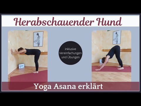 Herabschauender Hund I Asana erklärt