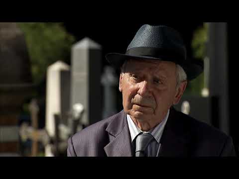 BEZ STEPENIKA (Stairless) - Official Trailer