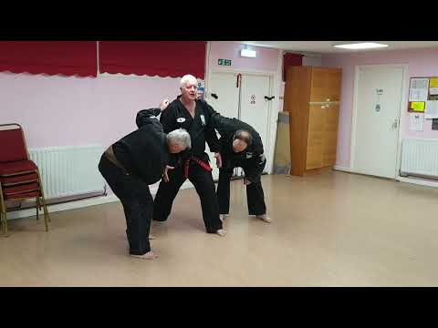 Kenpo Insights13. Self Defence Technique Marriage of the Rams