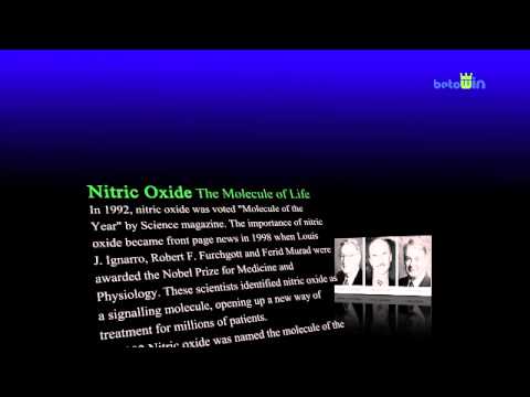 Noni Nitro Brochure Footage