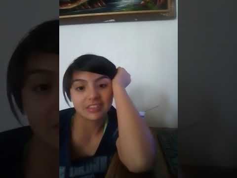 los gatitos de la calle mesen llorar