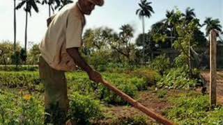 Ese Señor Alzate &amp; El Dueto Del Pueblo (letra)