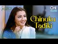 Chinuku Tadiki Thodugu Puvvamma Nee Sneham Aarti Agarwal Usha Telugu Hit Songs