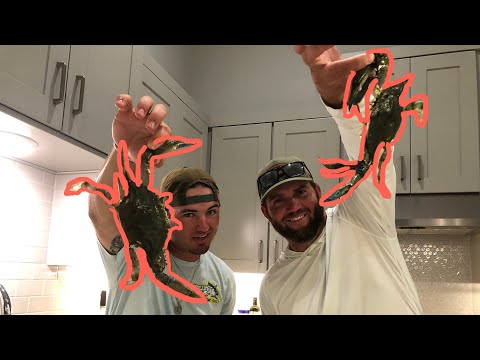 SHOOTING FISH AND BOILING CRABS {catch clean cook}