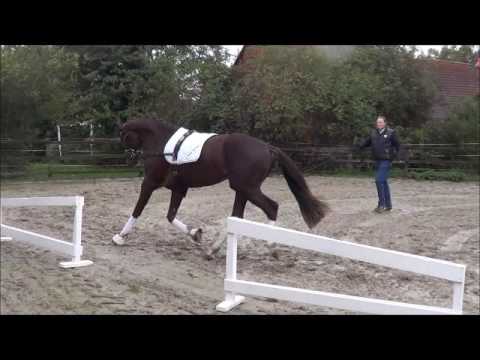 Kat. Nr. 69 Lincoln v.  Livaldon - Dancier