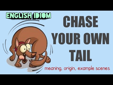 English idiom : To chase your own tail | Meaning | Origin | Example scenes | Example sentences