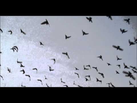 Denez Prigent & Lisa Gerrard - J'attend - Peter Adam Remix